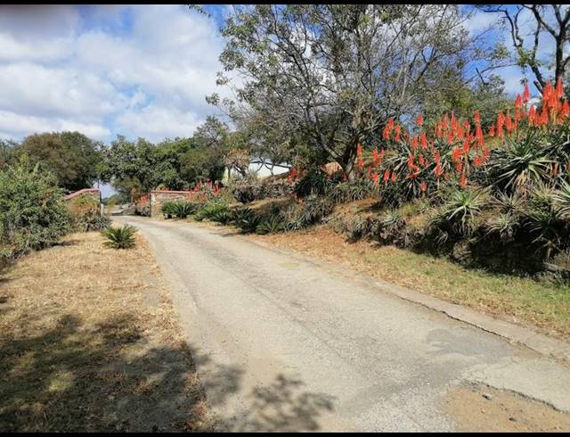 FARM FOR SALE IN LYDENBURG RURAL